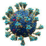 Call for papers: Science lessons from the COVID-19 pandemic