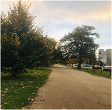 Reconnecting urban residents with nature through aesthetic and biodiverse experiences