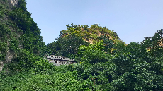 A contemplation on the values of biodiversity