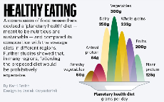 The dietary plan that maintains human health and saves the planet